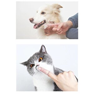 Kedi Köpek Parmak Diş Fırçası Kutulu Evcil Hayvan Diş Fırçası