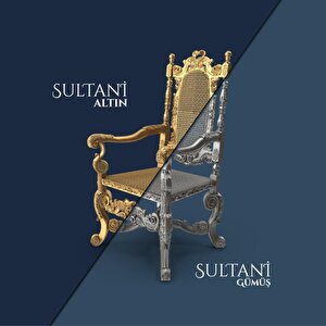 Pamukkale Sultani Su Bazlı Metalik Dekoratif Boya 2.5 Lt Altın