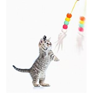 Elastik Kendinden Yapışkanlı Hareketli Renkli Kedi Oyun Oltası