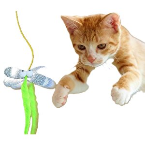 Kendinden Yapışkanlı Elastik Kedi Oltası Oyuncağı Evcil Hayvan Oyuncak Çıngıraklı