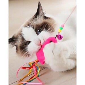Balıklı Kedi Oyun Oltası Hareketli Çıngıraklı Renkli Olta Oyuncak