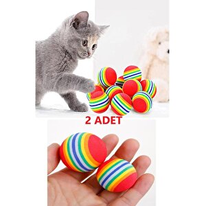 2 Ad. Sünger Kedi Evcil Hayvan Oyuncağı Çiğneme Eğitim Topu