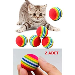 2 Ad. Sünger Kedi Evcil Hayvan Oyuncağı Çiğneme Eğitim Topu