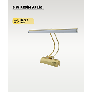 6w Gold Flüt Aplik 6500k Beyaz Işık