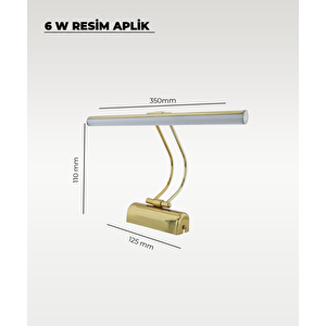 6w Gold Flüt Aplik 6500k Beyaz Işık
