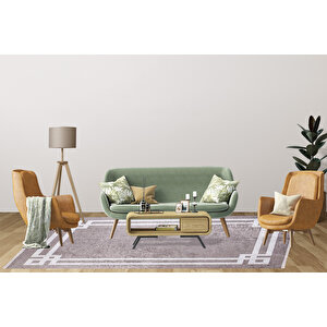 Modern Kahverengi Dijital Baskı Hipoalerjenik Kaymaz Taban Halı Yolluk Ha149