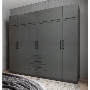 Biray 12 Kapaklı Gardırop Dolap Füme 208 Cm Montaj Dahil