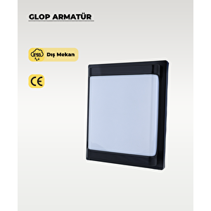 30 W Carpo Siyah Plastik Led Glop 3200k Sarı Işık