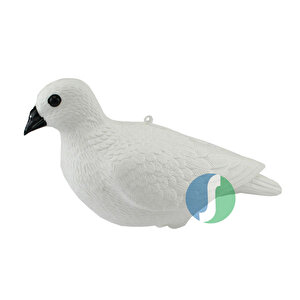Beyaz Güvercin Mühresi (hdd 012)
