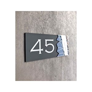 Füme Aynalı Antrasit Kapı Numarası - 45