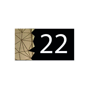 Dekoratif Aynalı Modern Kapı Numarası - Gold 22