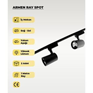 Armen 2 Adet Siyah Kasa Sarı Işık Ray Spot Set  Ve 1 Metre Ray Set