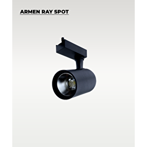 Armen 2 Adet Siyah Kasa Sarı Işık Ray Spot Set  Ve 1 Metre Ray Set