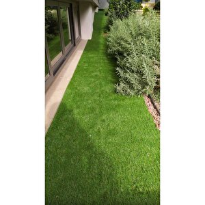 30 Mm Rulo Çim Halı - Genişlik 2 Metre 200x1250 cm