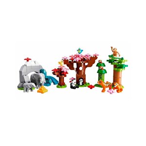 Duplo Vahşi Asya Hayvanları 10974