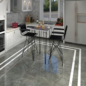 Knsz Masa Sandalye Takımı Hem105zengin Grisyh 070*070 2 Sandalye Syhsyh Kolçaklı Sırt Minderli