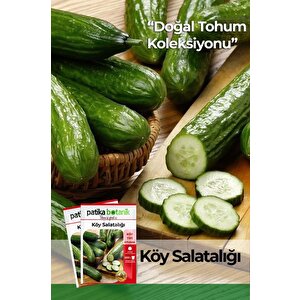 120 Adet Yerli Ata Karışık Köy Salatalığı Tohumu
