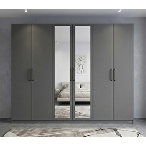 Alessi 6 Kapaklı Dolap Gardırop Füme Montaj Dahil