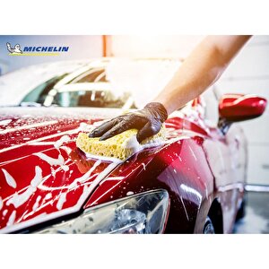 Michelin Mc33542 1litre Pro Serisi Ph Nötr Oto Şampuanı