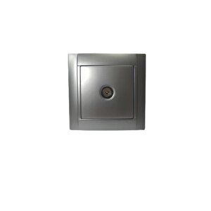 Tv Pri̇zi̇ Geçi̇şli̇ Metali̇k Gümüş Simon