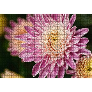 Sarı Ve Pembe Çiçek Yakın Çekim Flu Arka Plan Puzzle Yapboz Mdf Ahşap 1000 Parça