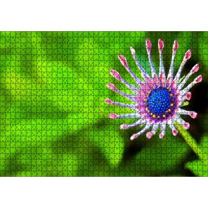 Yakın Çekim Çiçek Yeşil Flu Arkaplan Puzzle Yapboz Mdf Ahşap 1000 Parça