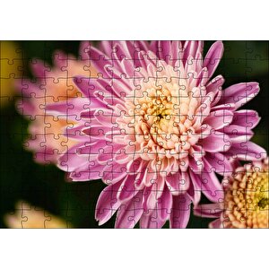 Sarı Ve Pembe Çiçek Yakın Çekim Flu Arka Plan Puzzle Yapboz Mdf Ahşap 120 Parça