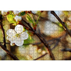 Beyaz Çiçek Arkaplanda Dallar Ve Flu Yapraklar Puzzle Yapboz Mdf Ahşap 255 Parça