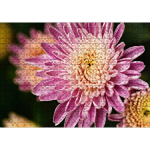 Sarı Ve Pembe Çiçek Yakın Çekim Flu Arka Plan Puzzle Yapboz Mdf Ahşap 500 Parça