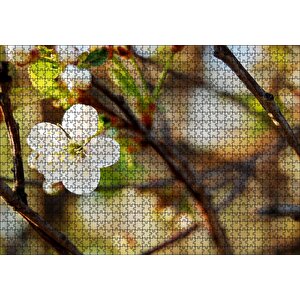 Beyaz Çiçek Arkaplanda Dallar Ve Flu Yapraklar Puzzle Yapboz Mdf Ahşap 1000 Parça