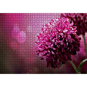 Lila Rengi Çiçek Yakın Çekim Flu Arkaplan Puzzle Yapboz Mdf Ahşap 1000 Parça