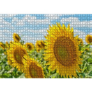 Günebakan Çiçekleri Puzzle Yapboz Mdf Ahşap 1000 Parça