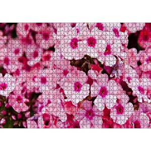 Pembe Plumeria Çiçekleri Puzzle Yapboz Mdf Ahşap 1000 Parça