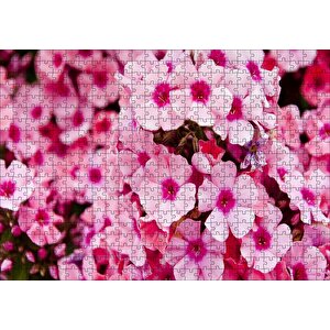 Pembe Plumeria Çiçekleri Puzzle Yapboz Mdf Ahşap 500 Parça
