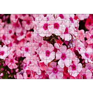 Pembe Plumeria Çiçekleri Puzzle Yapboz Mdf Ahşap 120 Parça