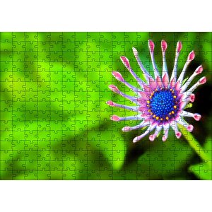 Yakın Çekim Çiçek Yeşil Flu Arkaplan Puzzle Yapboz Mdf Ahşap 255 Parça