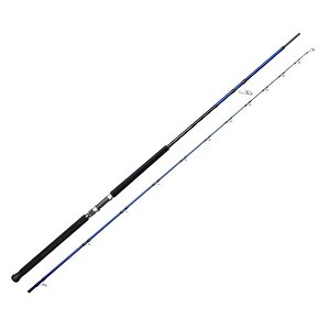 Sgs6 Shore Jigging 10'/3.05m 60-150 Gr 2 Parça