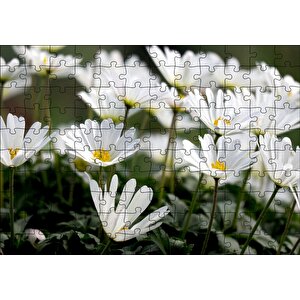 Taçlı Beyaz Dağ Laleleri Yakın Çekim Puzzle Yapboz Mdf Ahşap 120 Parça