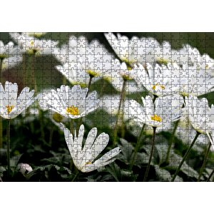 Taçlı Beyaz Dağ Laleleri Yakın Çekim Puzzle Yapboz Mdf Ahşap 500 Parça