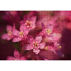 Sarı Tohumlu Kırmızı Çiçekler Yakın Çekim Puzzle Yapboz Mdf Ahşap 120 Parça