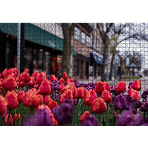 Kırmızı Ve Mor Laleler Puzzle Yapboz Mdf Ahşap 1000 Parça