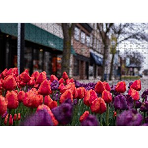 Kırmızı Ve Mor Laleler Puzzle Yapboz Mdf Ahşap 500 Parça