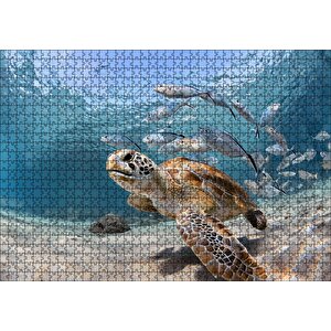 Sevimli Caretta Ve Ton Balıkları Puzzle Yapboz Mdf Ahşap 1000 Parça