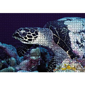 Deniz Kaplumbağa Puzzle Yapboz Mdf Ahşap 1000 Parça