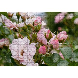 Beyaz Ve Pembe Gonca Güller Ve Yapraklar Puzzle Yapboz Mdf Ahşap 255 Parça