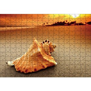 Deniz Kabuğu Puzzle Yapboz Mdf Ahşap 255 Parça