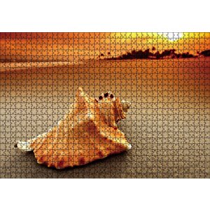 Deniz Kabuğu Puzzle Yapboz Mdf Ahşap 1000 Parça