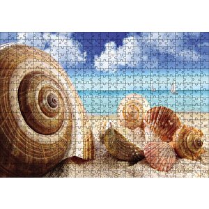 Deniz Kabukları Puzzle Yapboz Mdf Ahşap 500 Parça