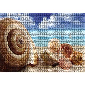 Deniz Kabukları Puzzle Yapboz Mdf Ahşap 1000 Parça