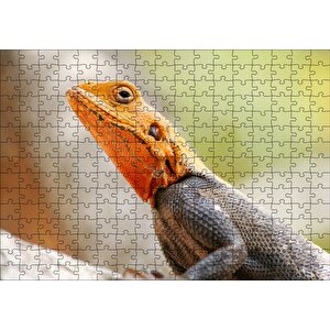 Turuncu Başlı Kertenkele Yakın Çekim Puzzle Yapboz Mdf Ahşap 255 Parça